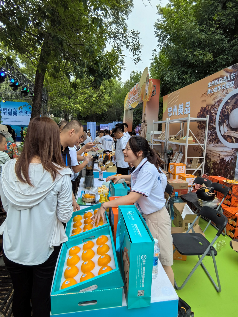 图片12.png 新球体育