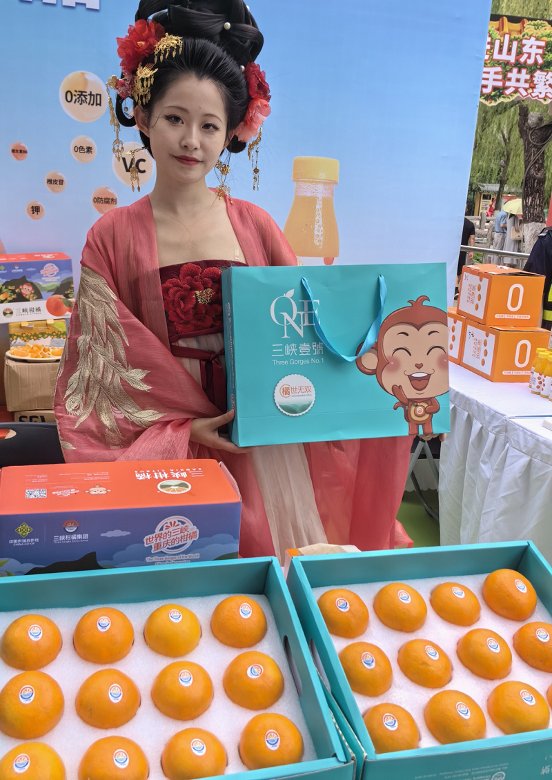 图片11.png 新球体育