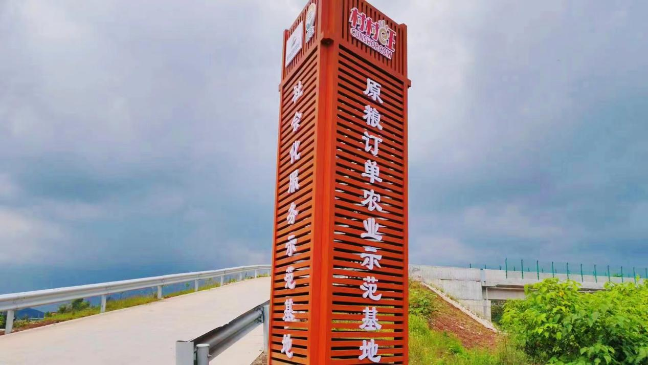 图片4.png 新球体育