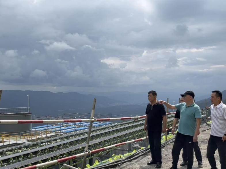 图片旺苍2.png 新球体育