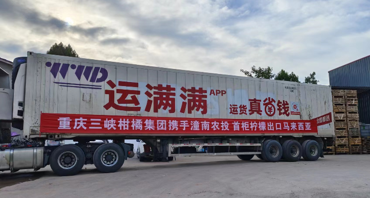 图片1.png 新球体育