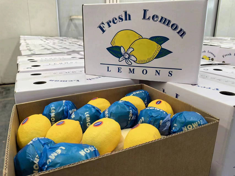 图片2.png 新球体育