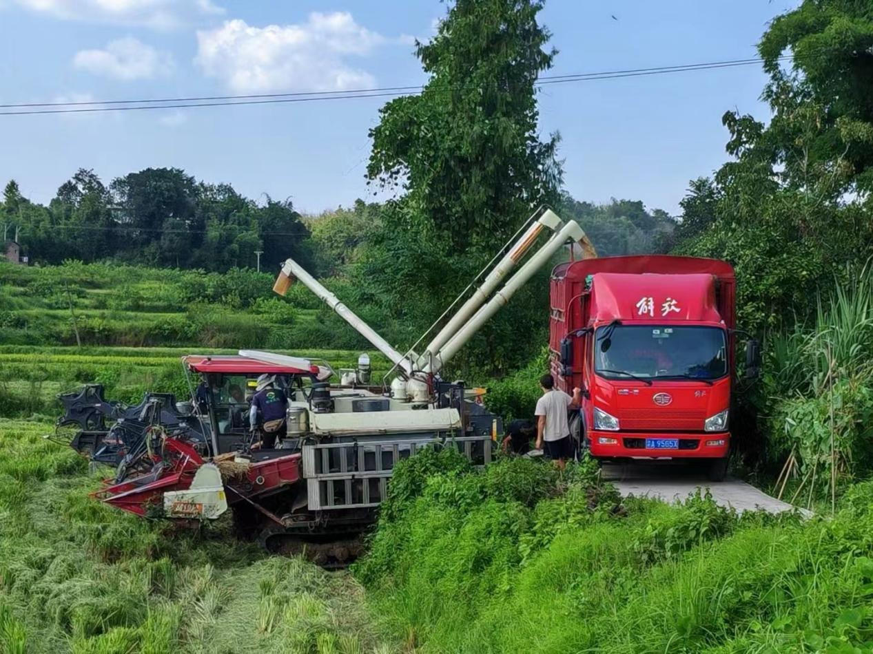 图片2.png 新球体育