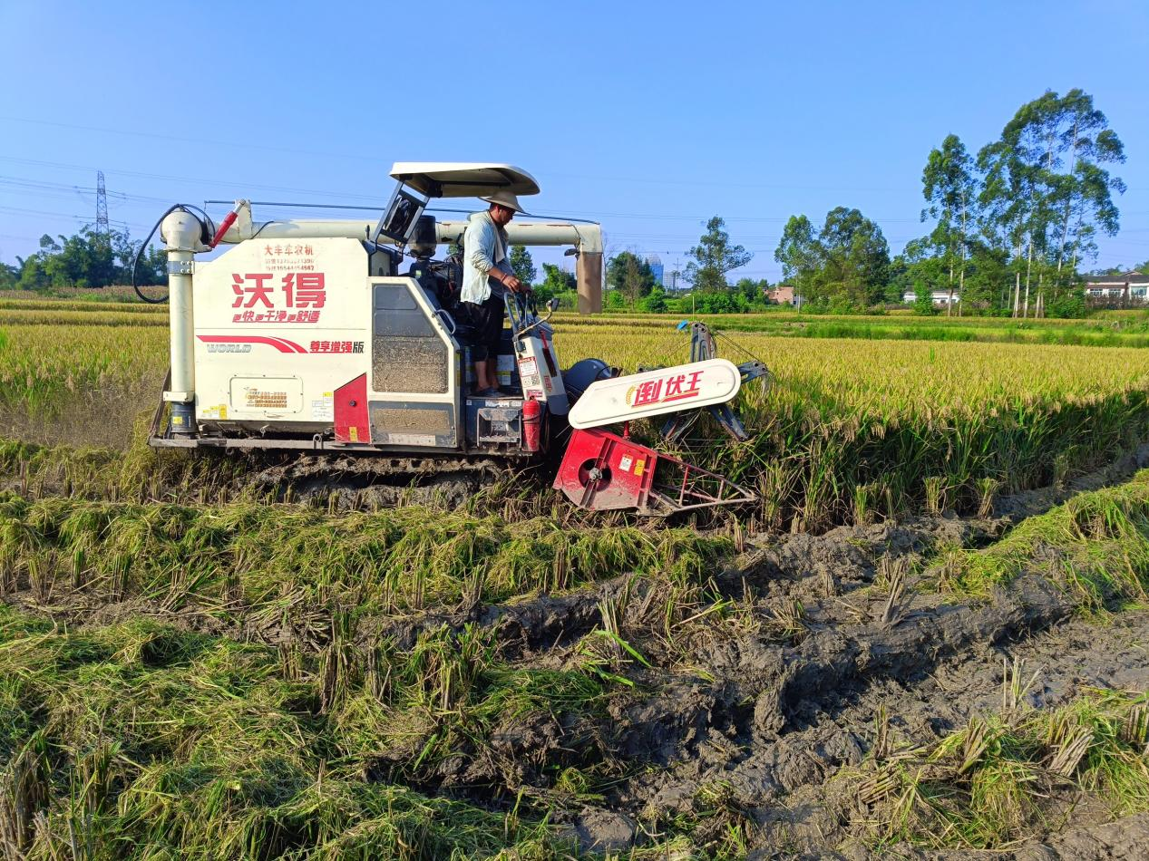 图片4.png 新球体育