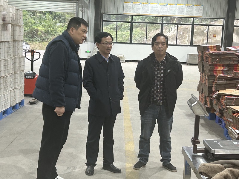 微信图片_20241202143820.jpg 新球体育