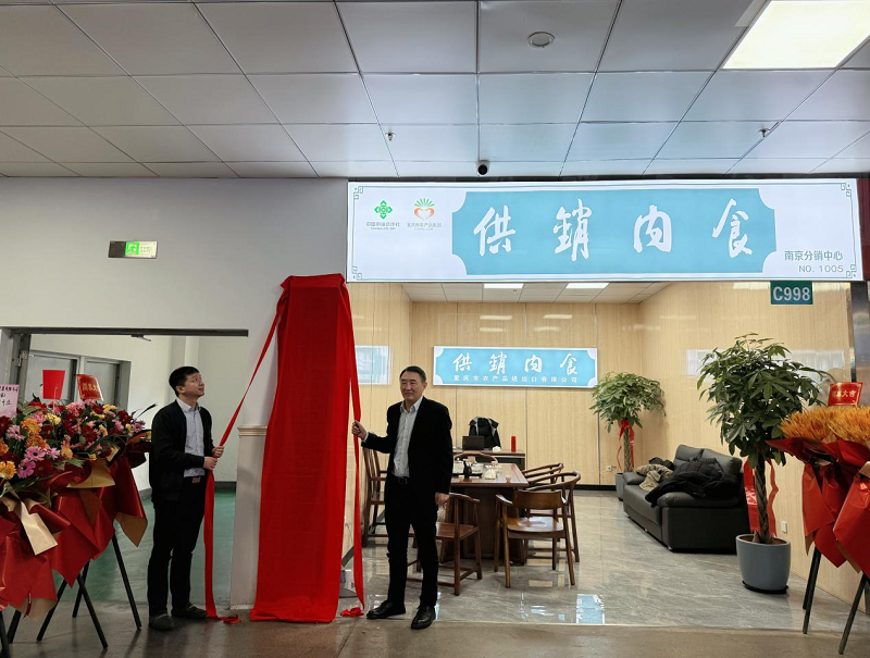 图片1 (2).png 新球体育