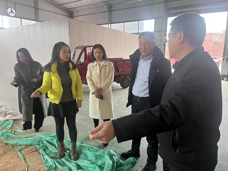 微信图片_20250226100640.jpg 新球体育