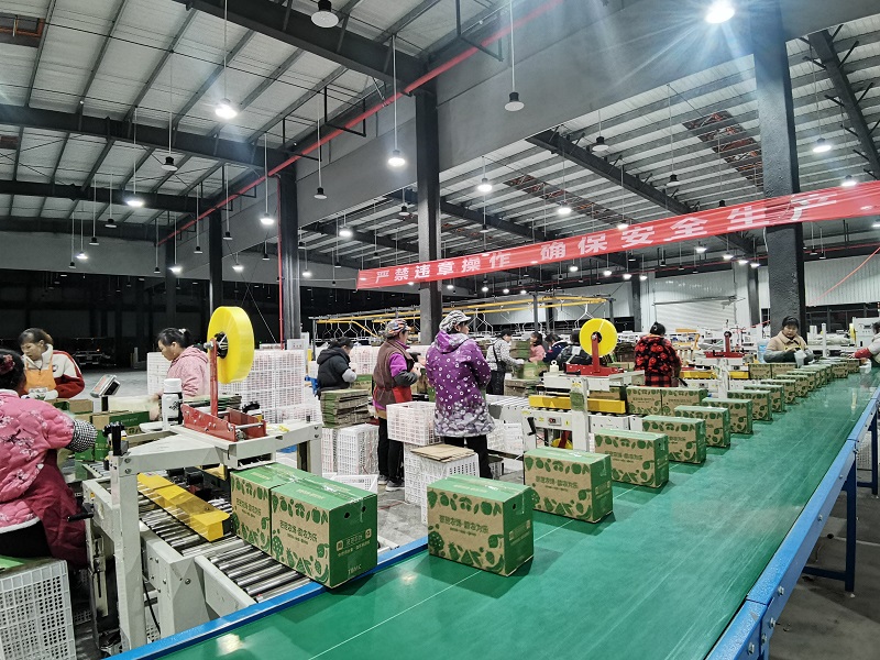 微信图片_20250306101137.jpg 新球体育