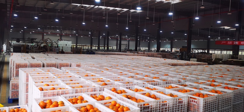 微信图片_20250306101148.jpg 新球体育