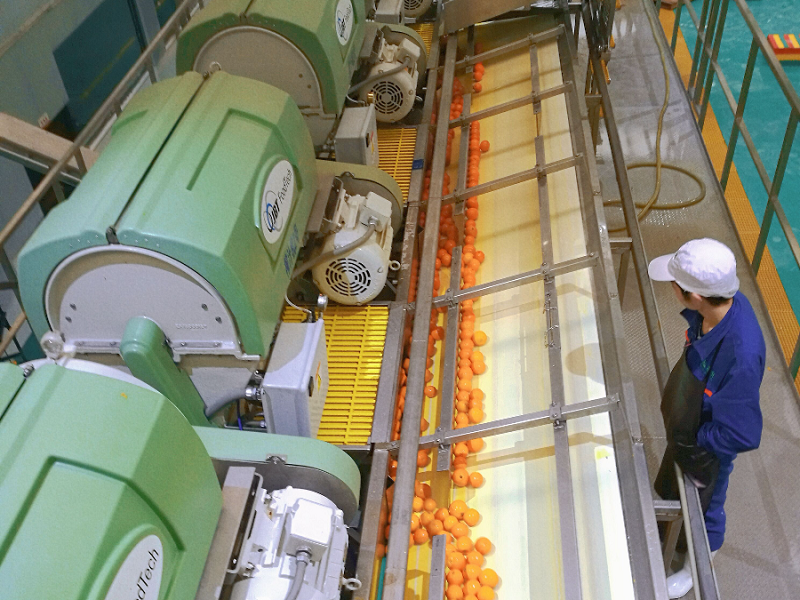 图片10.png 新球体育