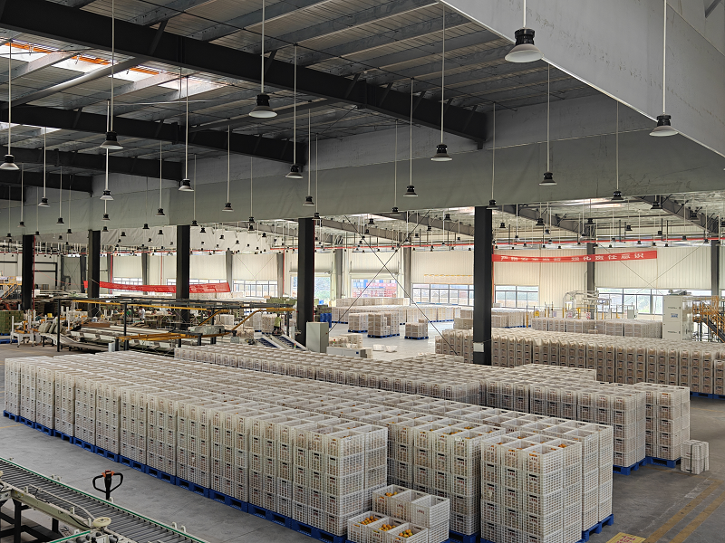 图片15.png 新球体育