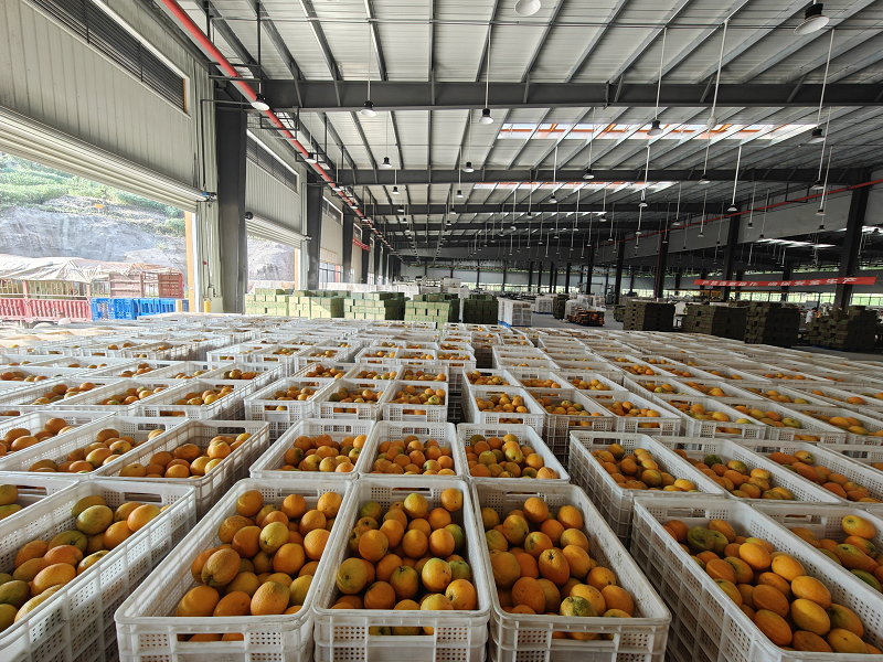 图片16.png 新球体育