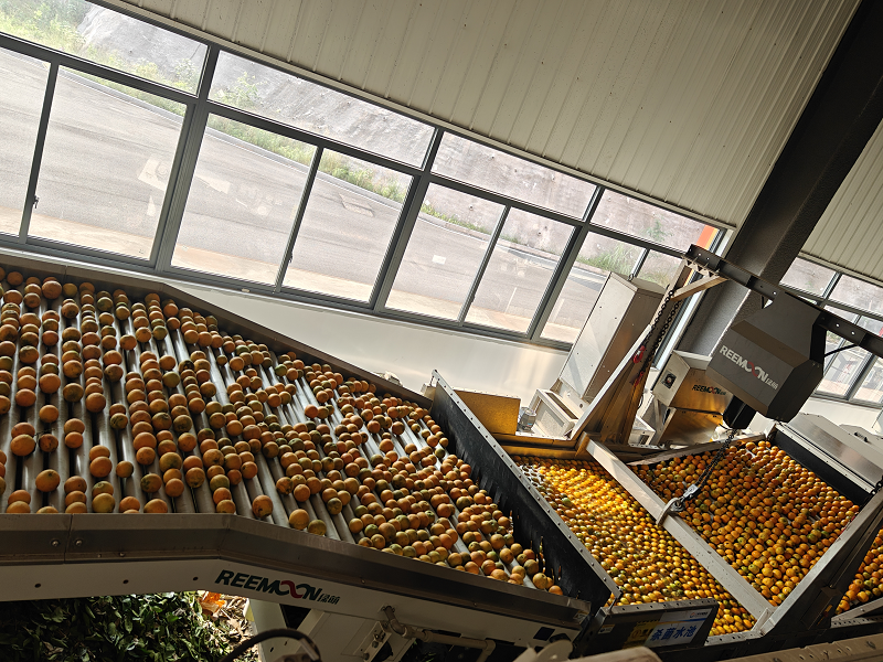 图片17.png 新球体育