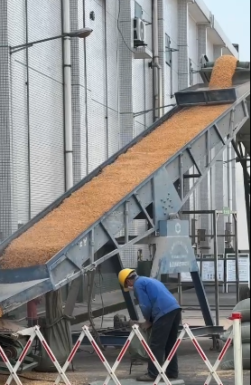 图片1.png 新球体育