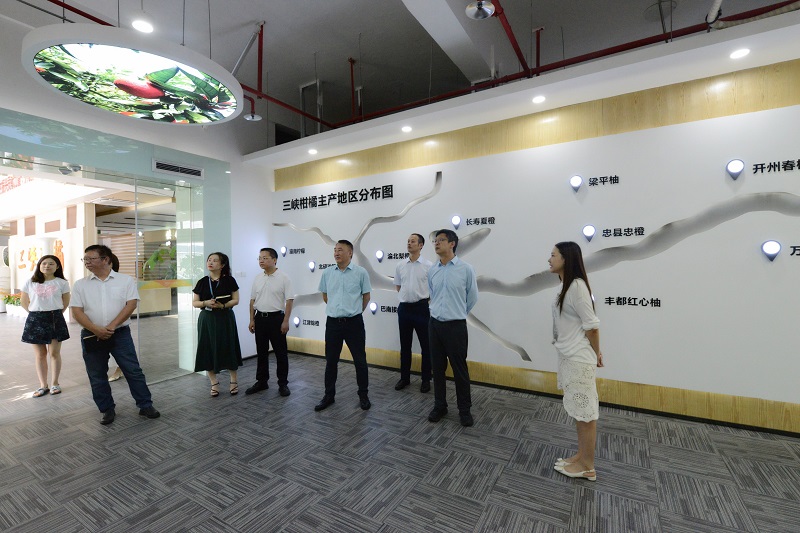 微信图片_20250807102724.jpg 新球体育