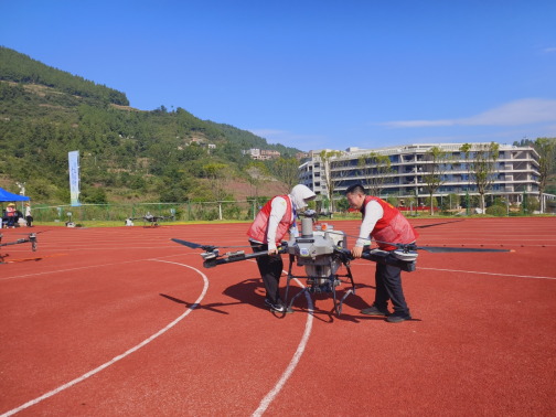 image.png 新球体育