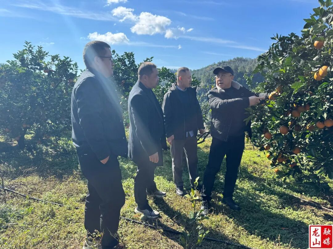 图片9.png 新球体育