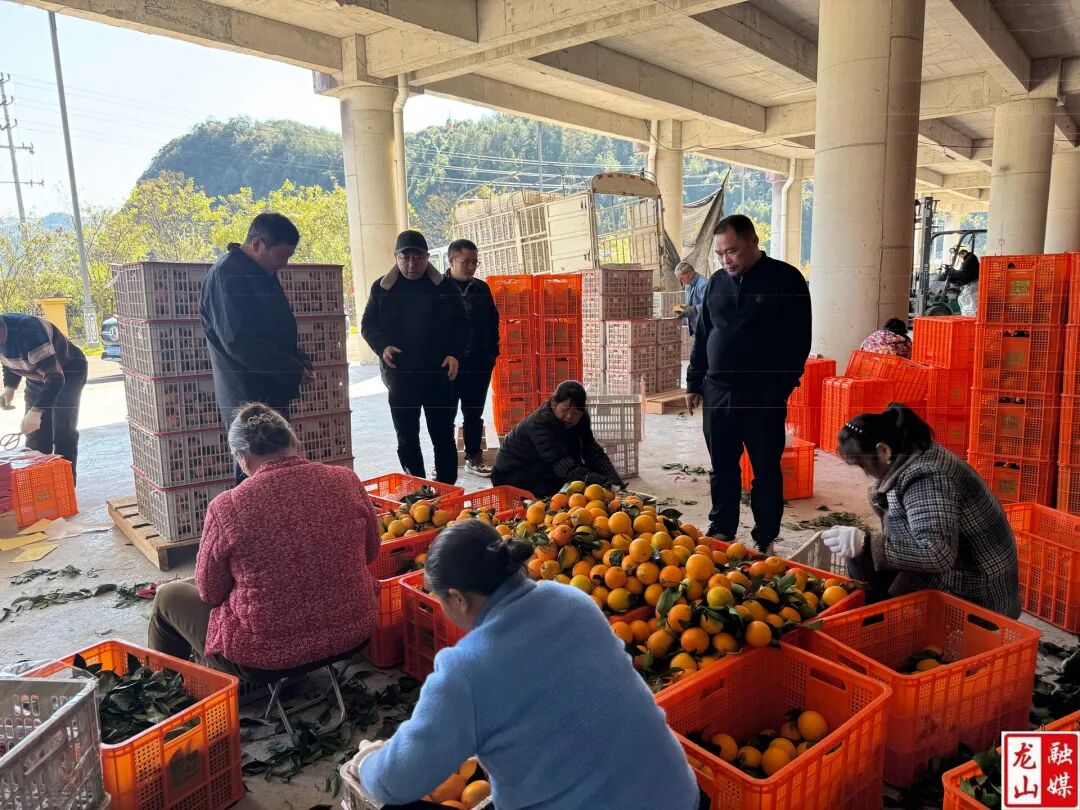 图片10.png 新球体育