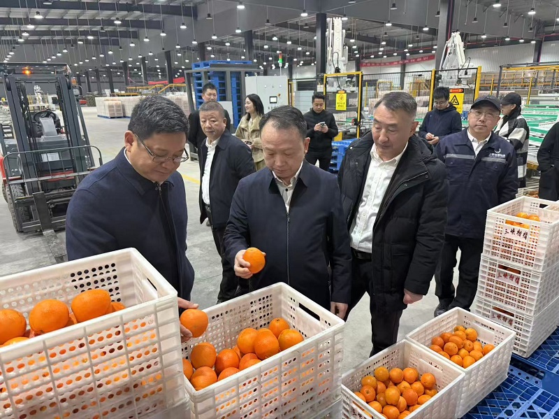 微信图片_20251204145754.jpg 新球体育