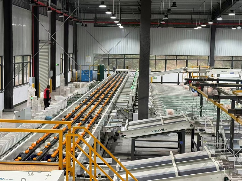 fbc73c09eac3065dc5ebd39c8efdd40.jpg 新球体育