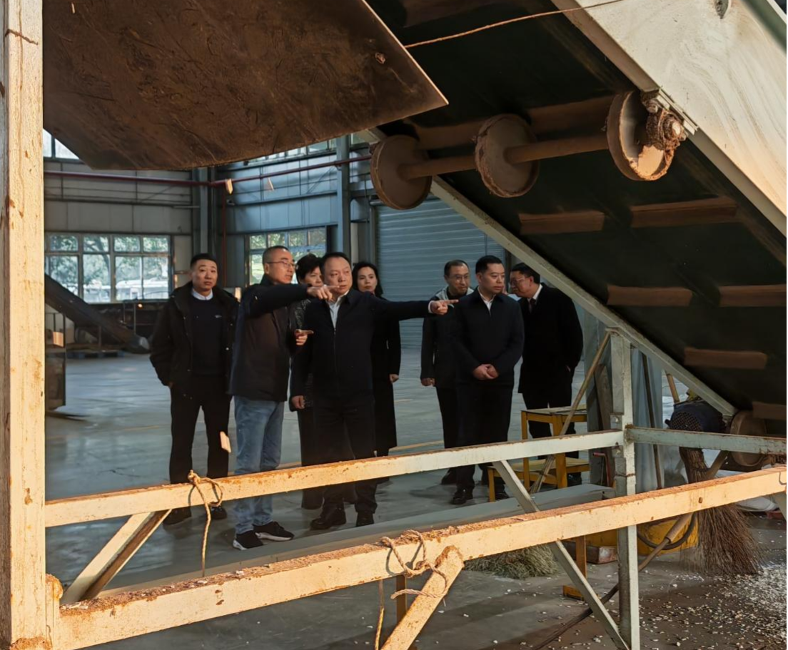 dioayan3.png 新球体育