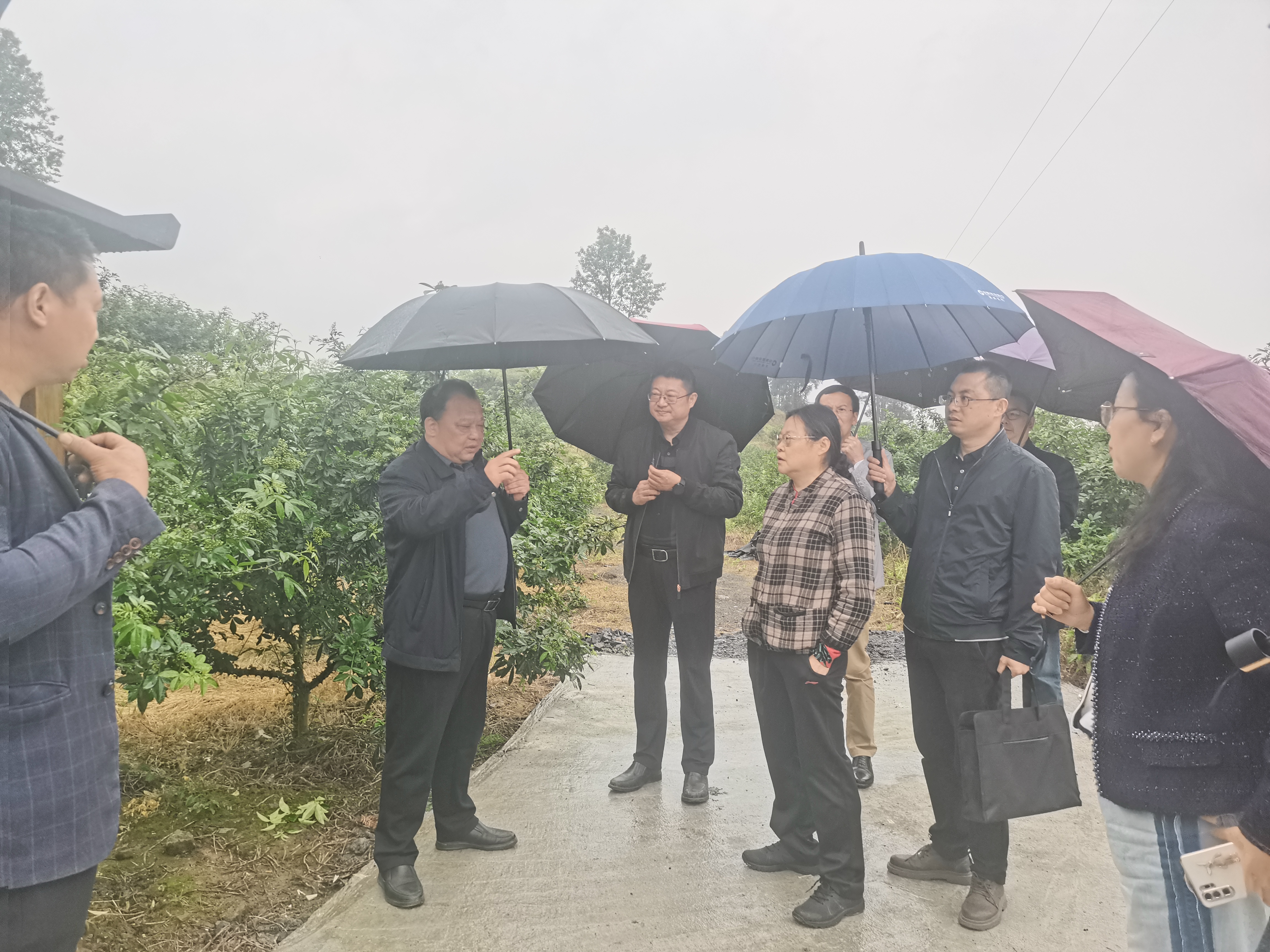 a674b2530be01bf102aaf98b3579fe8.jpg 新球体育