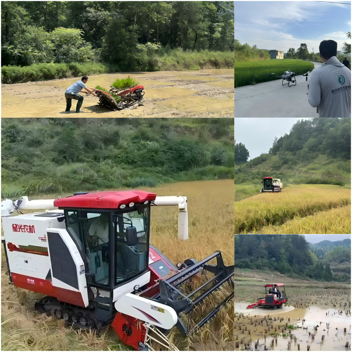 图片2.png 新球体育