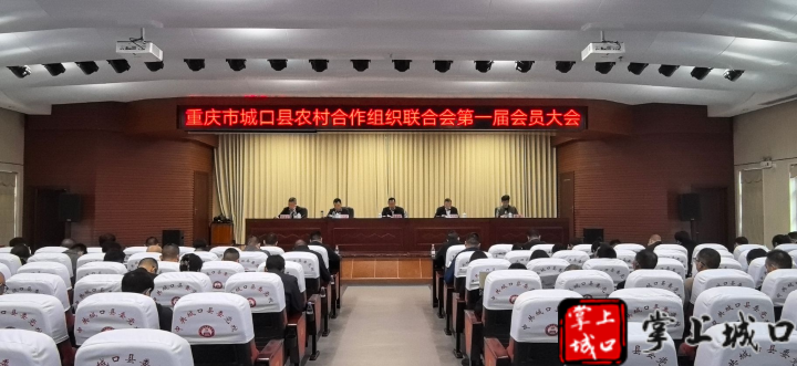 图.png 新球体育