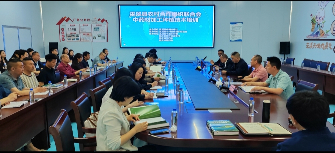 微信图片_20250422110330.jpg 新球体育