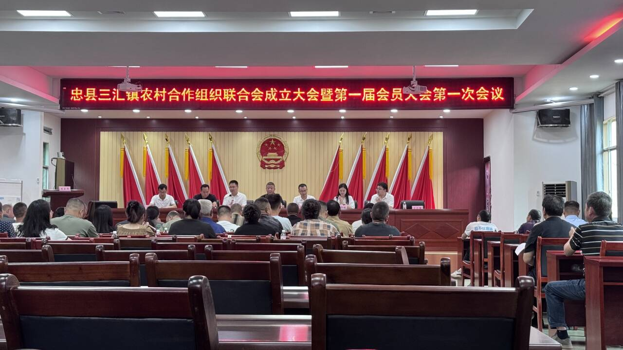 三汇信息图片1.png 新球体育