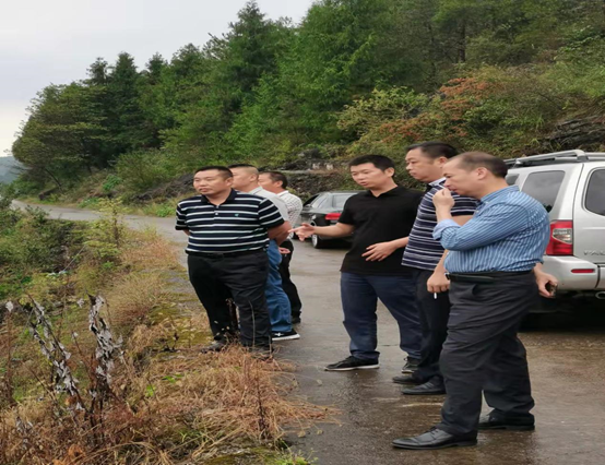 image.png 新球体育