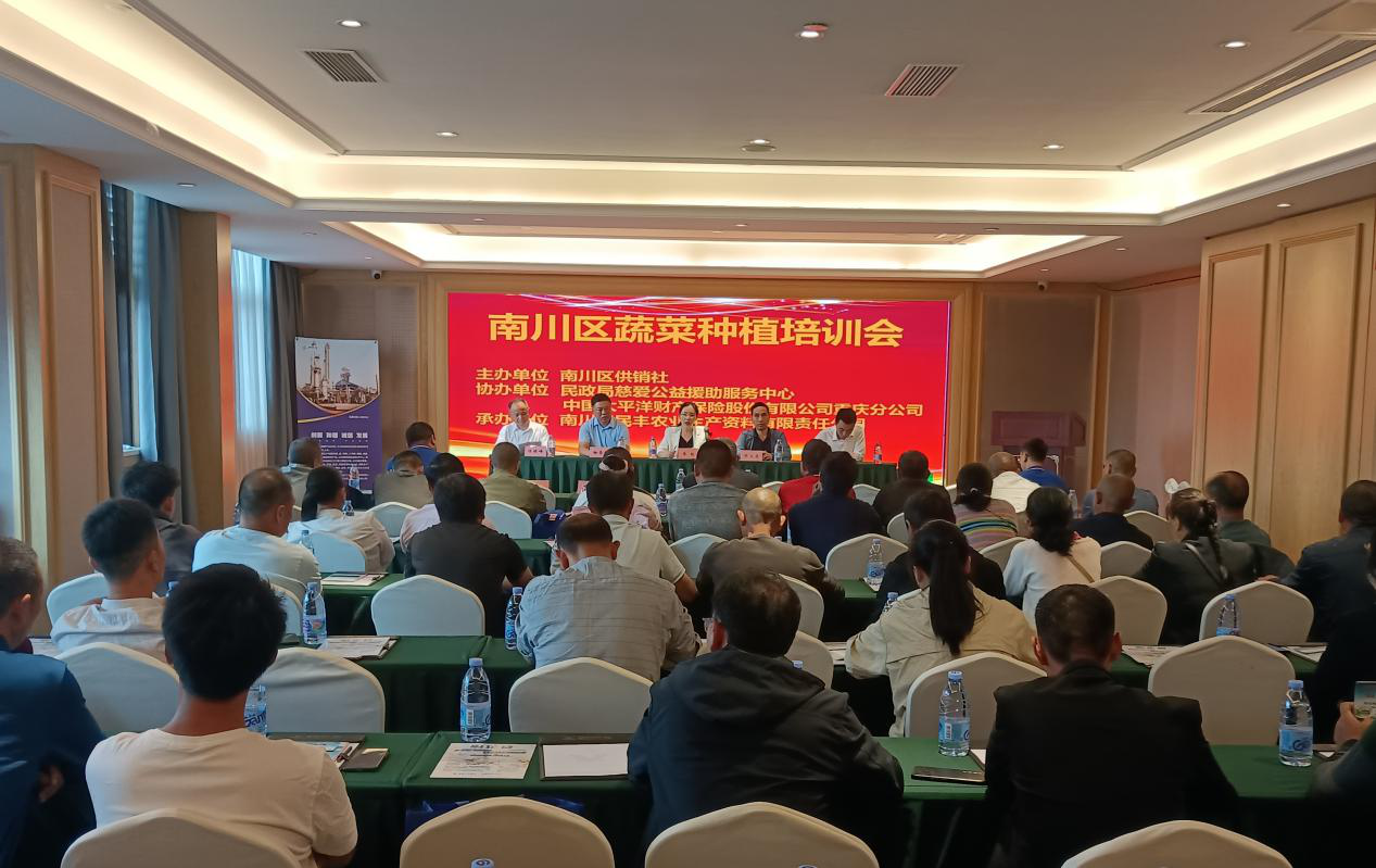 图片1.png 新球体育