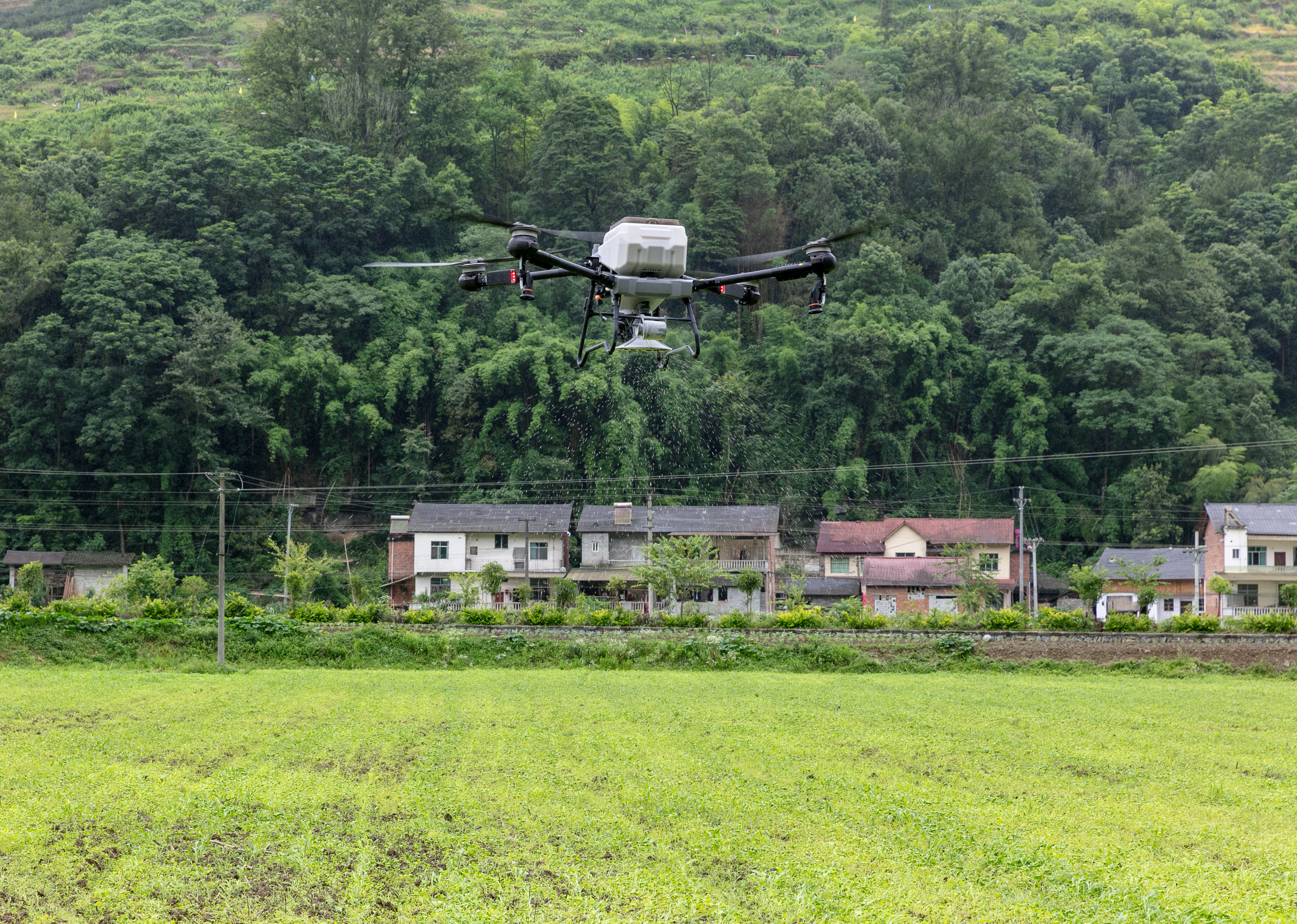 微信图片_20240620102623.jpg 新球体育