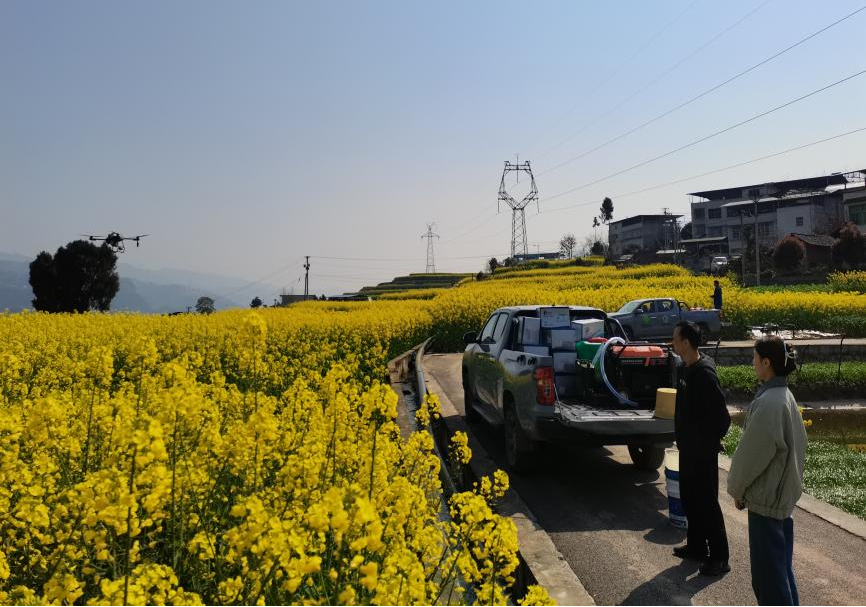 图片1.png 新球体育