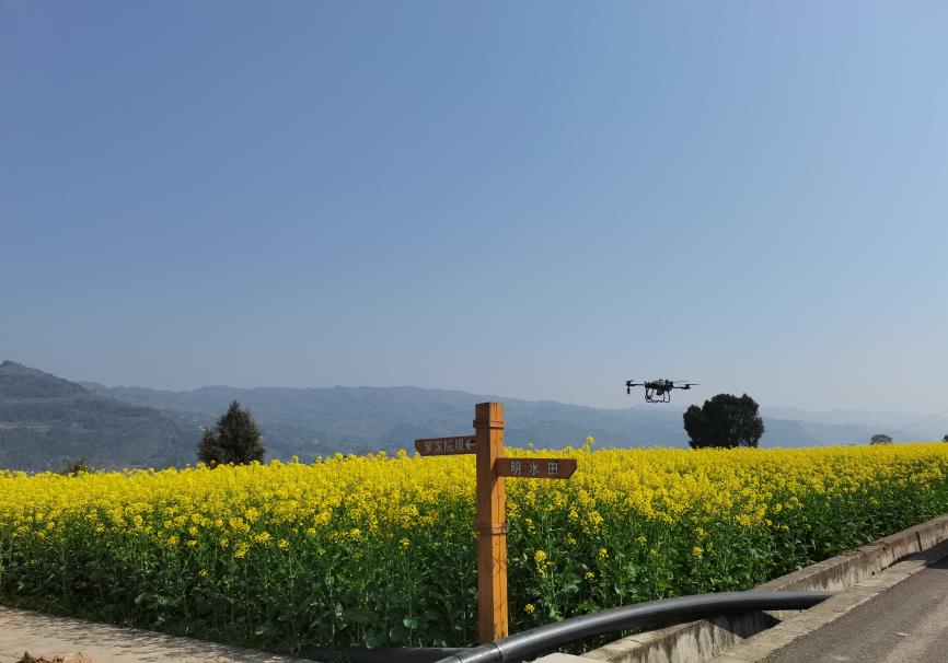 图片2.png 新球体育