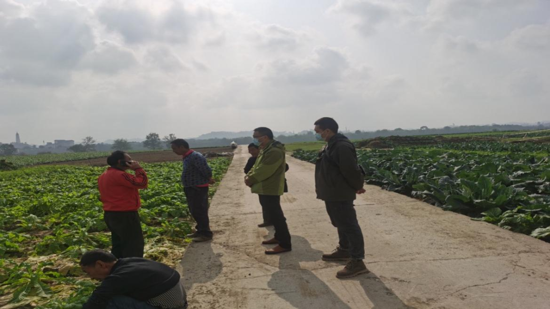 640 (2).png 新球体育