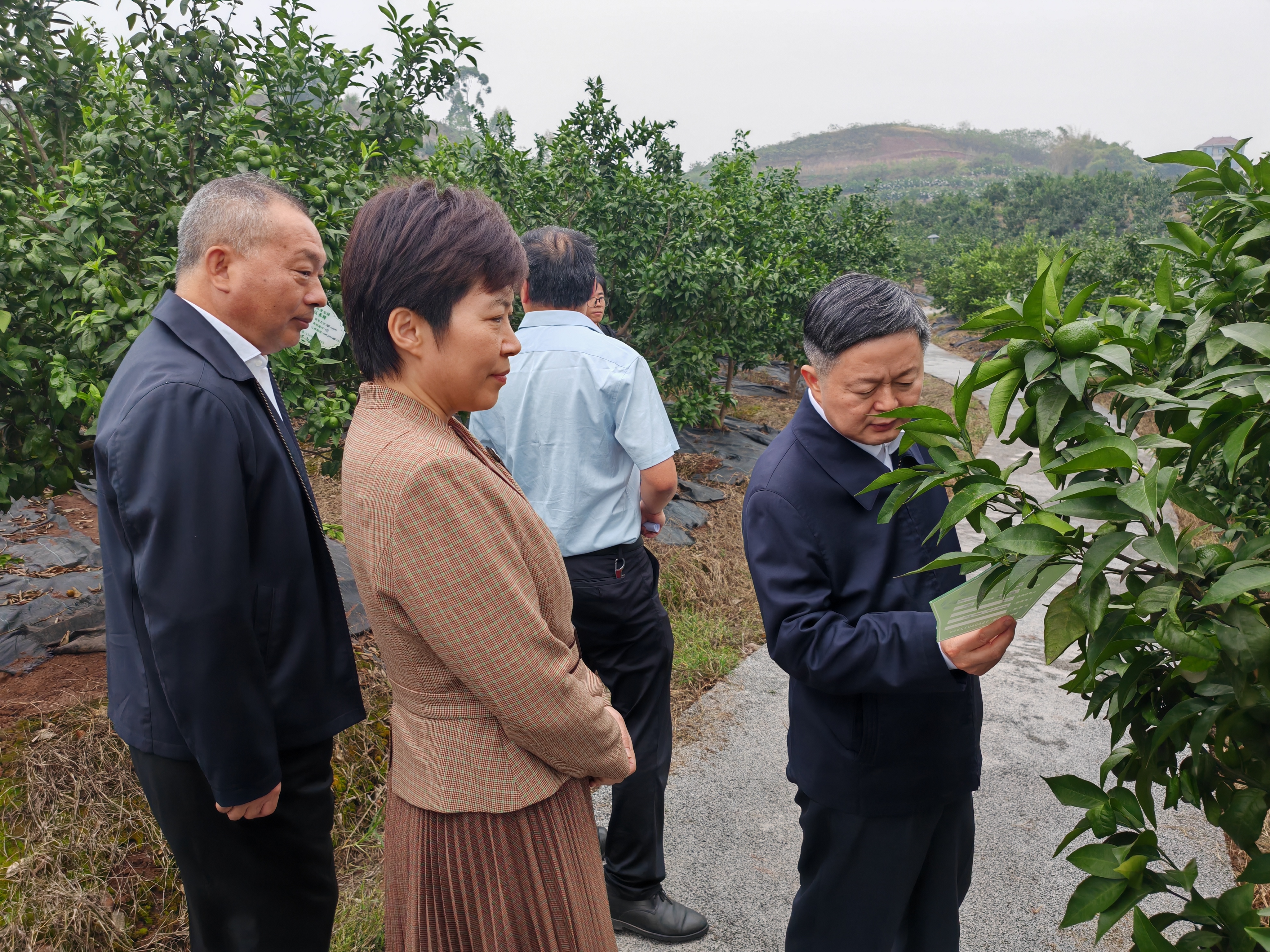 微信图片_20241012155321.jpg 新球体育