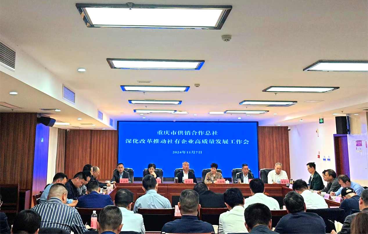 图片1.png 新球体育