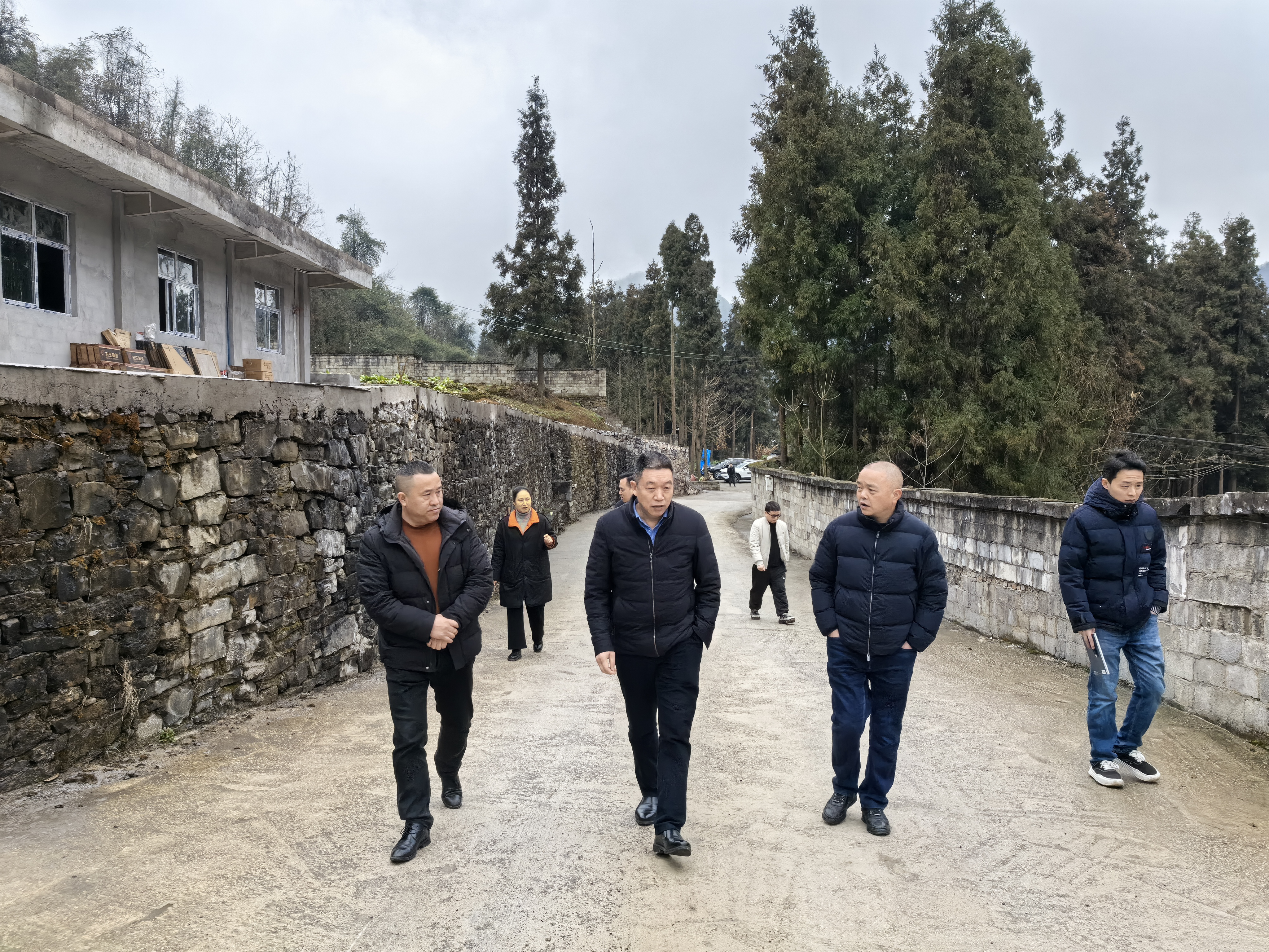 图片4.png 新球体育