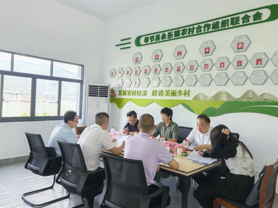 奉节新闻稿1.jpg 新球体育