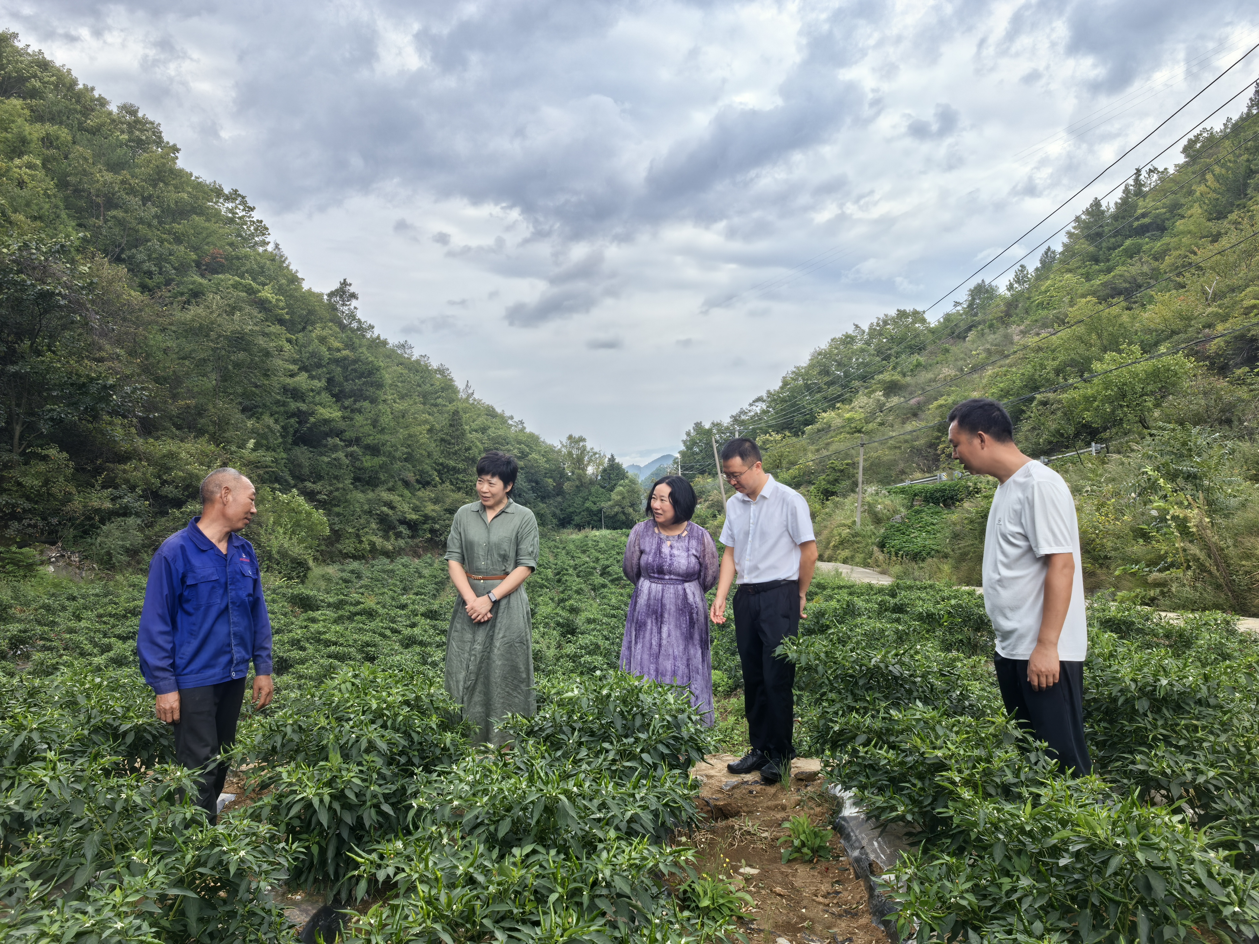 新闻稿2.jpg 新球体育